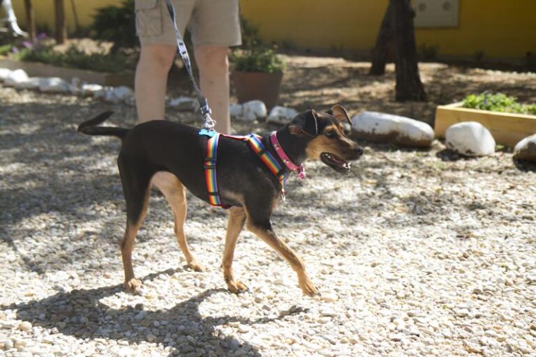 multimedia-foto58844-289-1