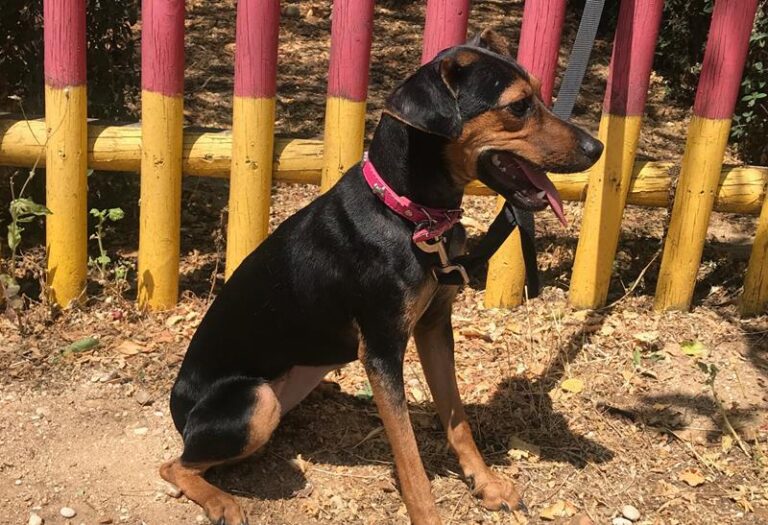 multimedia-foto58845-290-1