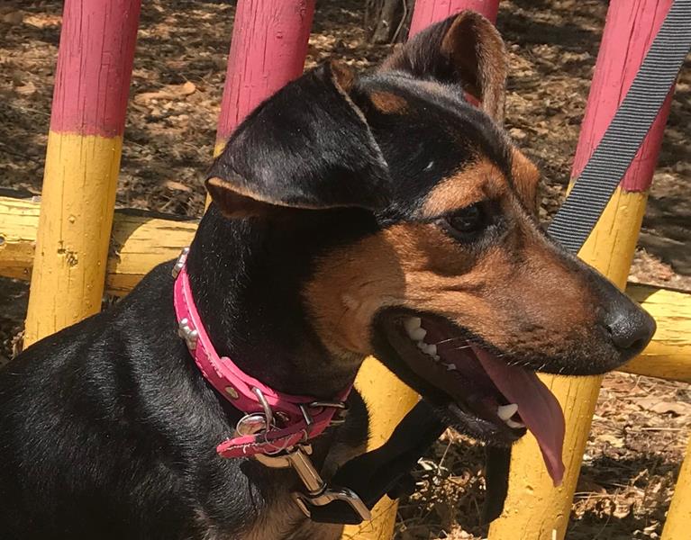 multimedia-foto58848-290-1