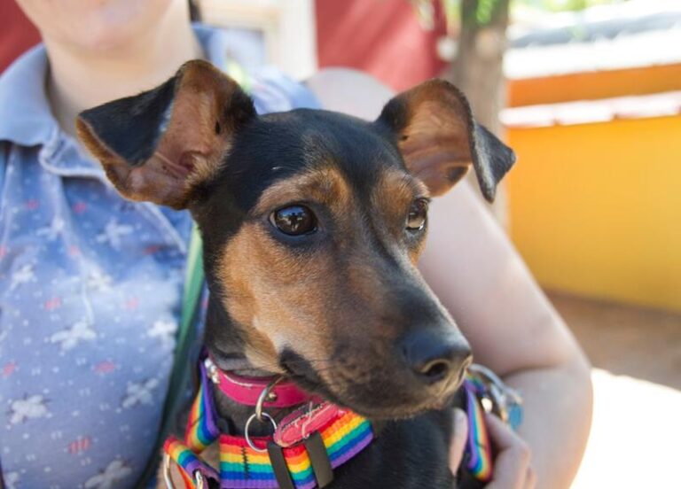 multimedia-foto58849-290-1