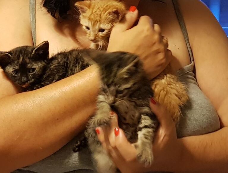 multimedia-foto58867-567-1