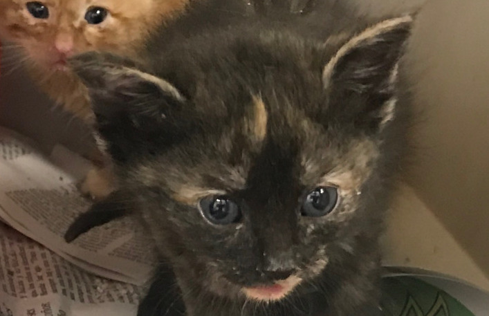 multimedia-foto58868-567-1