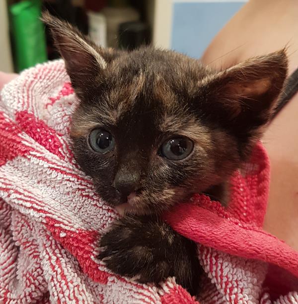 multimedia-foto58869-567-1