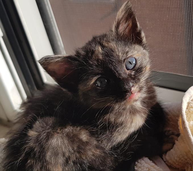 multimedia-foto58871-568-1