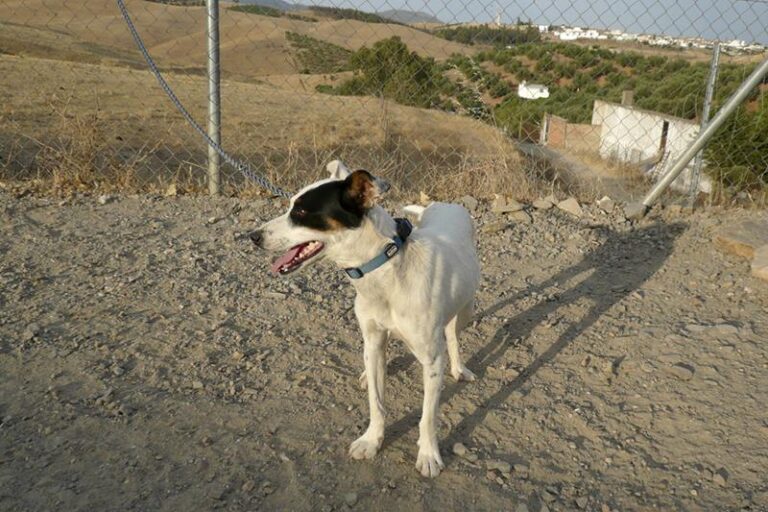 multimedia-foto58981-936-1