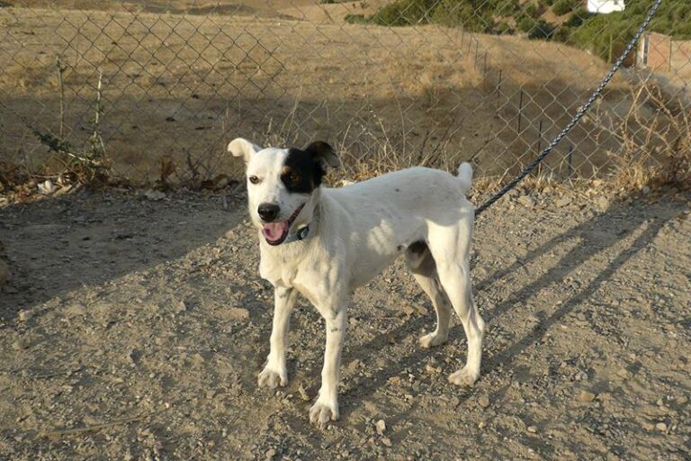 multimedia-foto58983-936-1