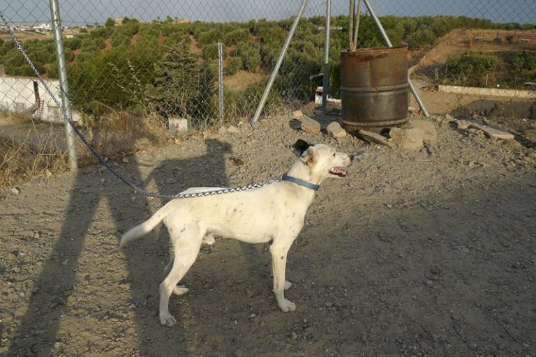 multimedia-foto58984-936-1