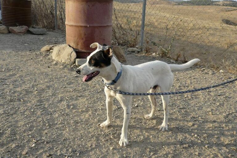 multimedia-foto58985-937-1