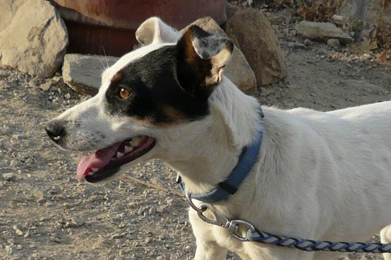 multimedia-foto58986-937-1