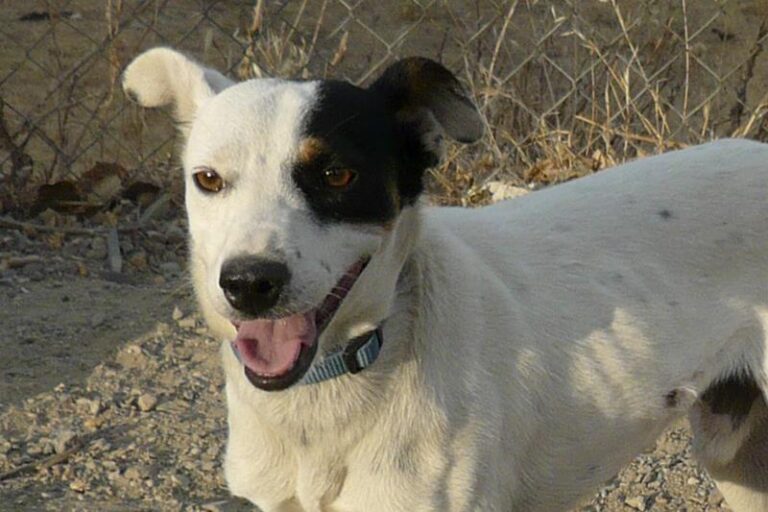 multimedia-foto58987-937-1