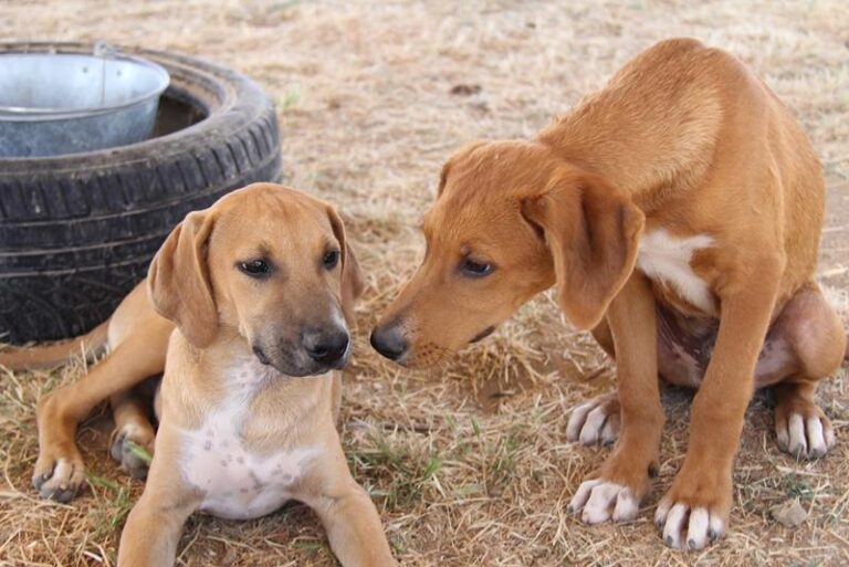 multimedia-foto59008-856-1