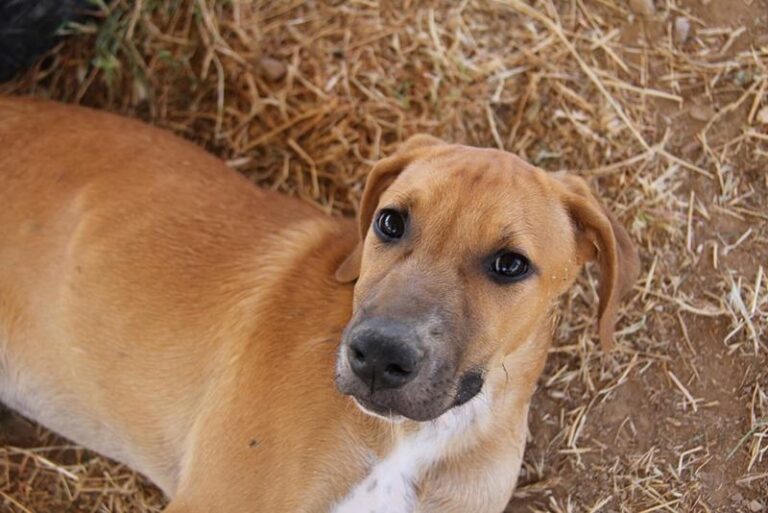 multimedia-foto59009-856-1