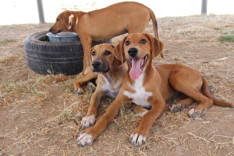 multimedia-foto59010-857-1