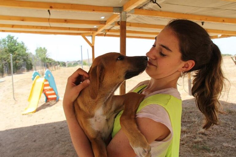 multimedia-foto59011-857-1