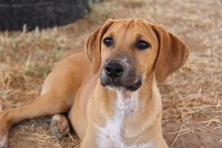 multimedia-foto59013-857-1