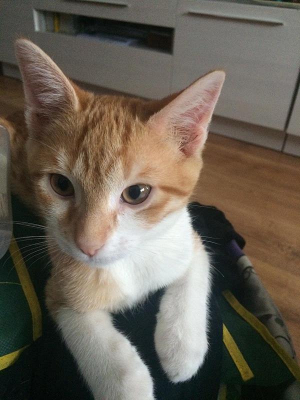 multimedia-foto59024-477-1