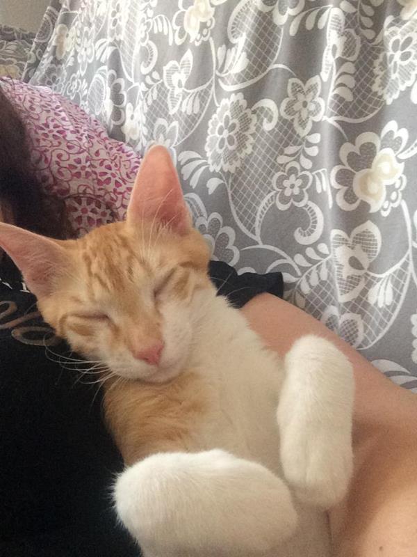 multimedia-foto59026-503-1