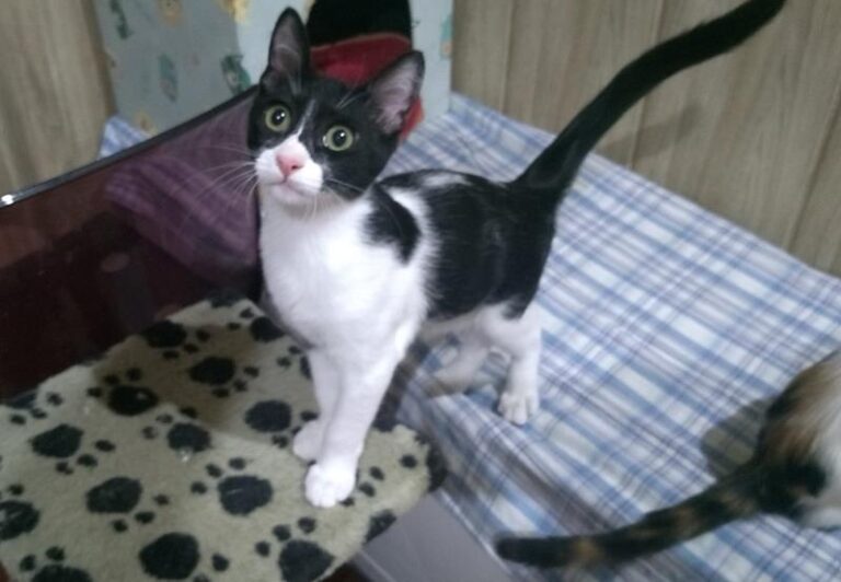 multimedia-foto59031-206-1