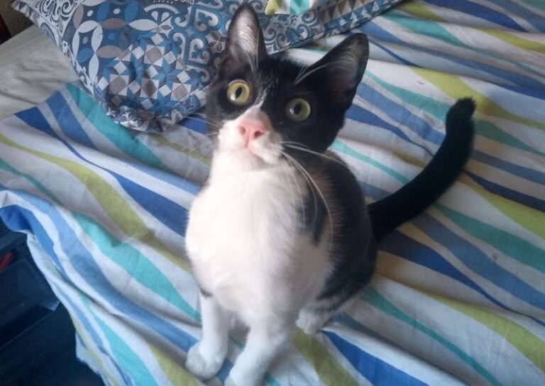 multimedia-foto59033-206-1