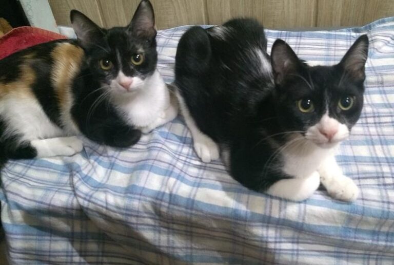 multimedia-foto59035-207-1