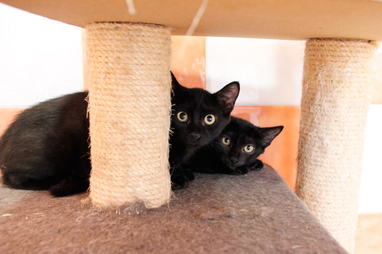 multimedia-foto59073-188-1