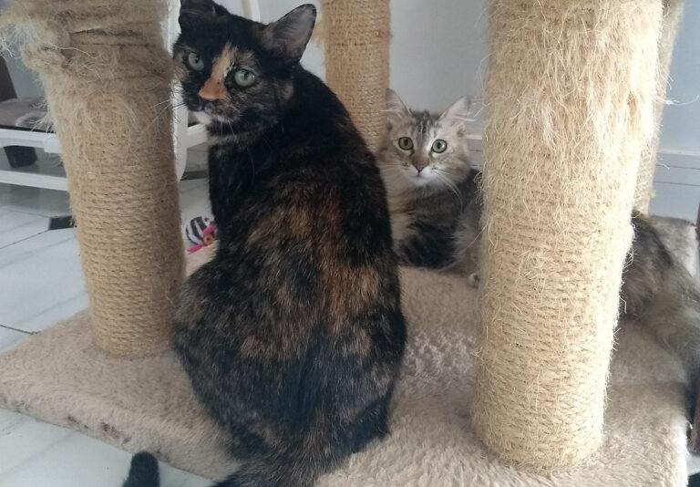 multimedia-foto59074-58-1