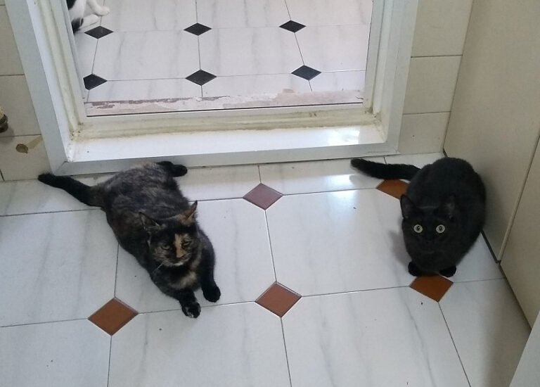 multimedia-foto59075-58-1