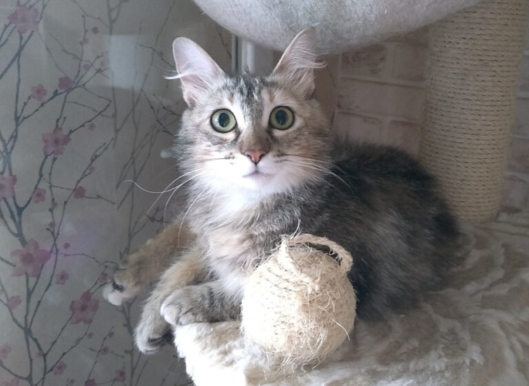 multimedia-foto59079-59-1