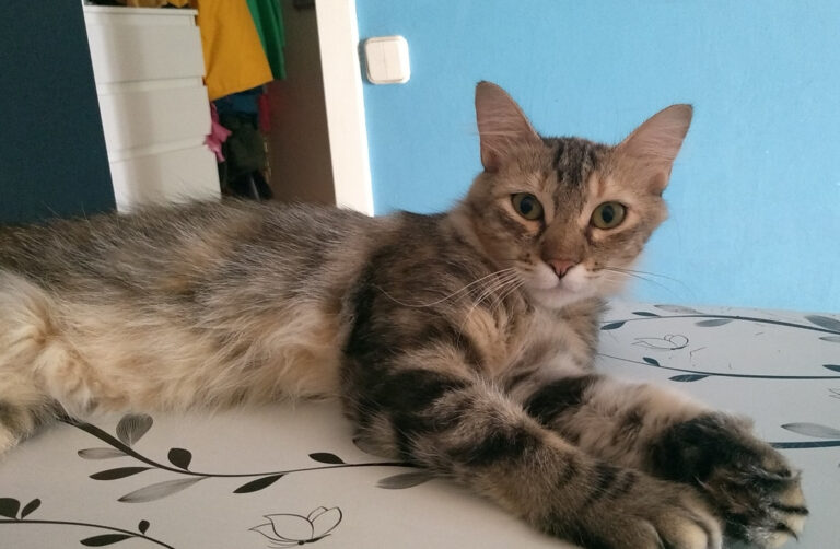 multimedia-foto59080-59-1