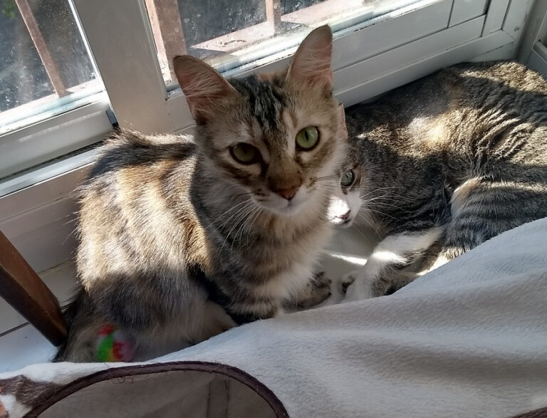 multimedia-foto59084-60-1