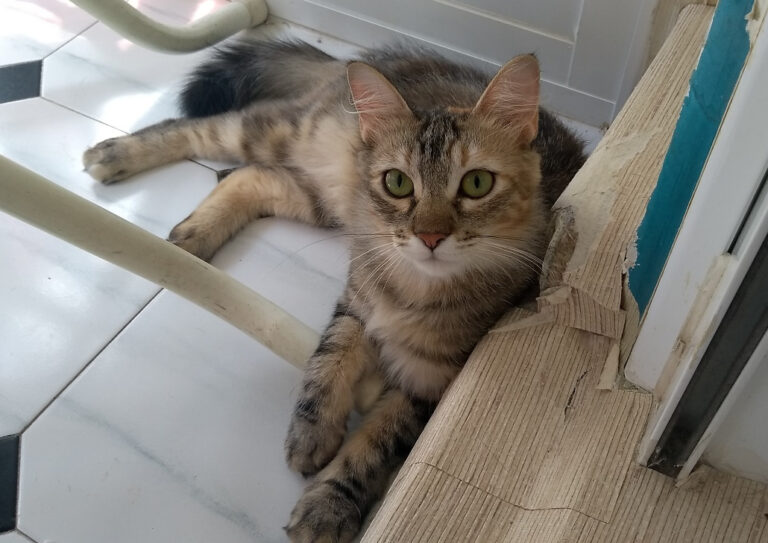 multimedia-foto59085-61-1