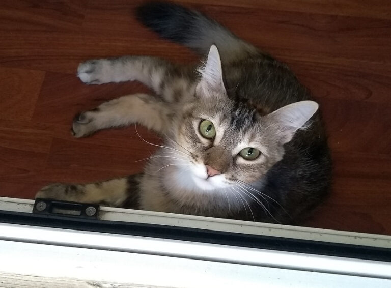 multimedia-foto59086-61-1