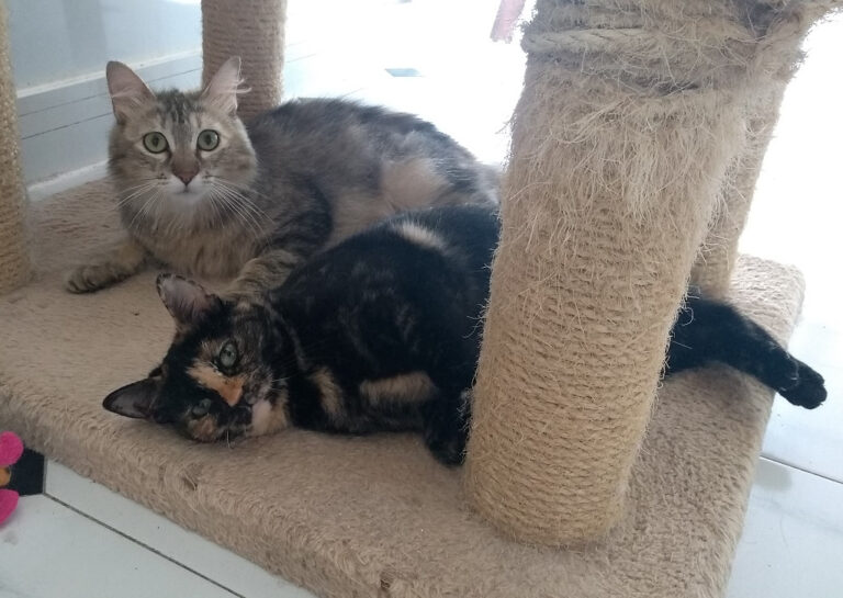 multimedia-foto59089-393-1