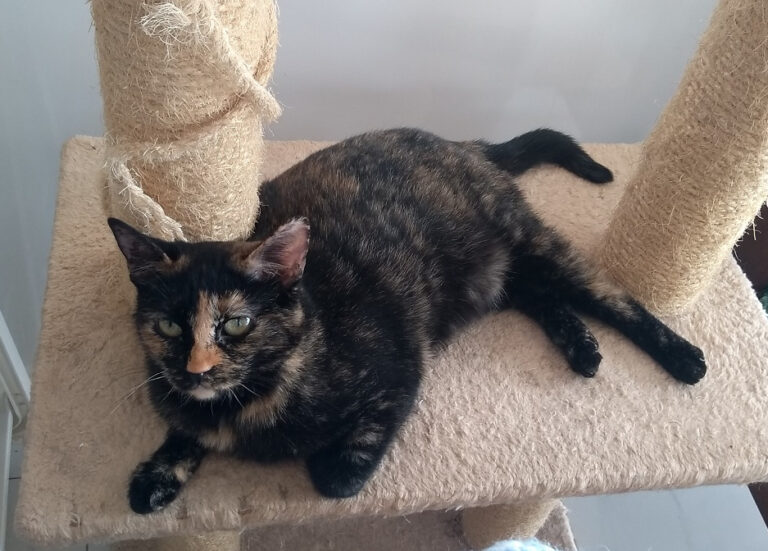 multimedia-foto59093-394-1