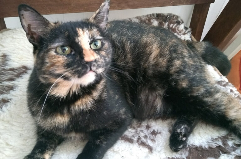 multimedia-foto59095-394-1