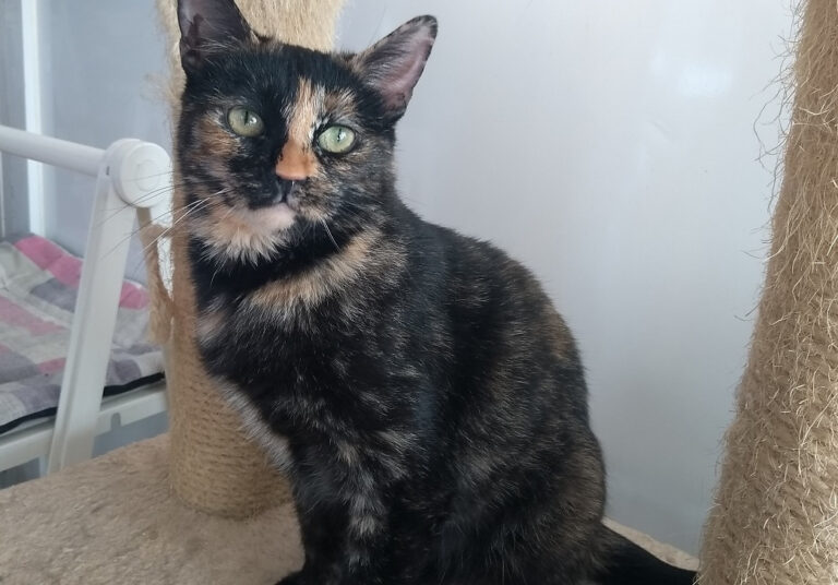 multimedia-foto59097-395-1