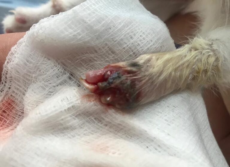 multimedia-foto59098-417-1