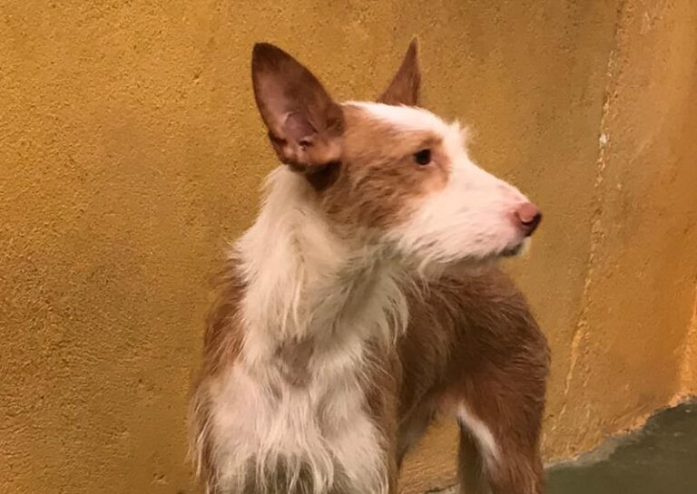 multimedia-foto59102-407-1