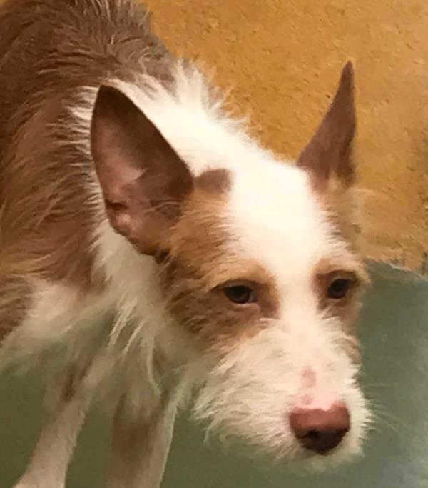 multimedia-foto59103-407-1