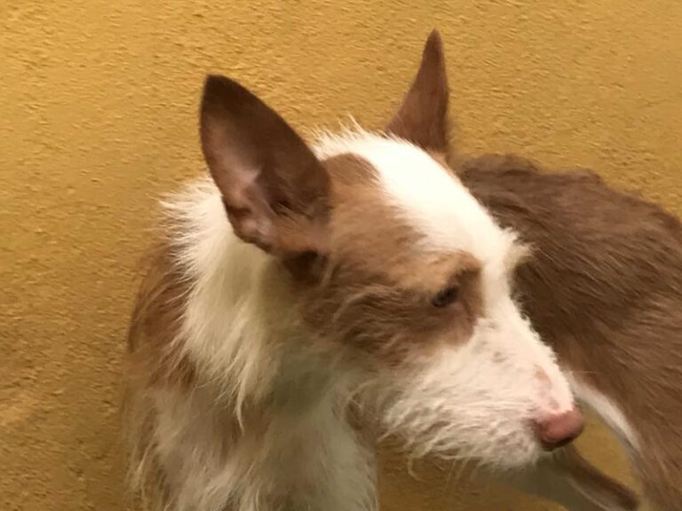 multimedia-foto59104-408-1