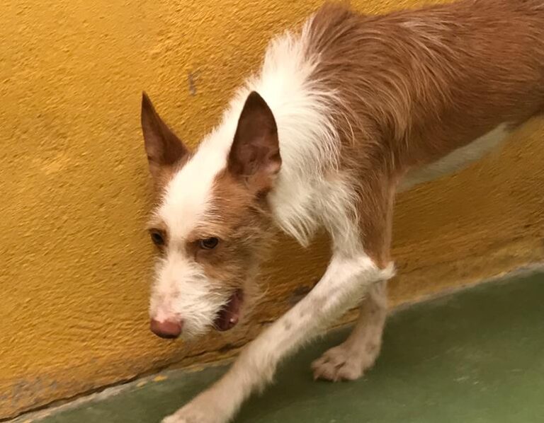 multimedia-foto59105-408-1