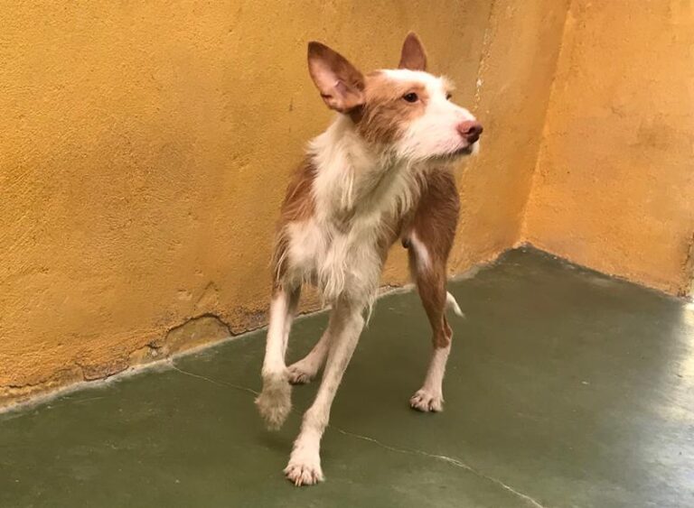 multimedia-foto59107-408-1