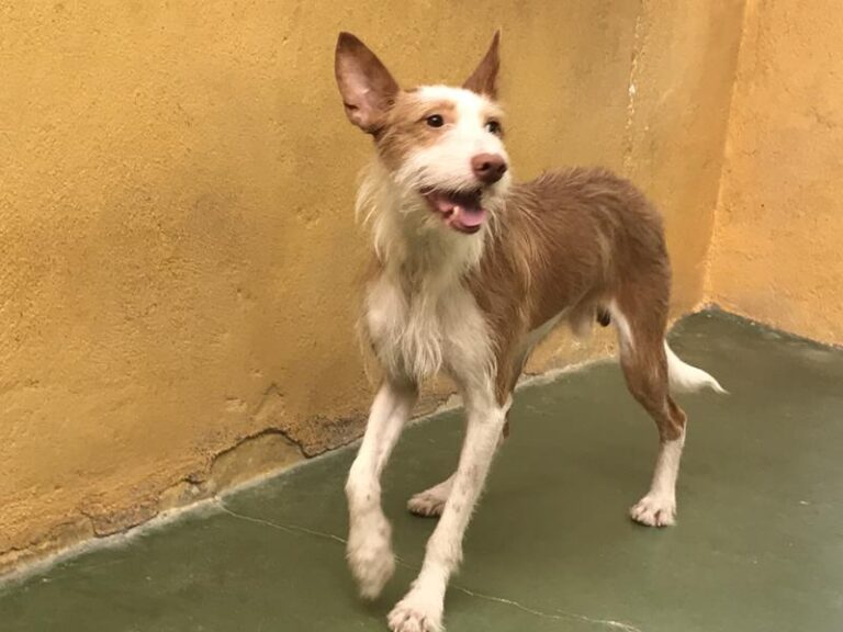 multimedia-foto59108-408-1