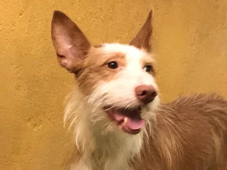 multimedia-foto59109-408-1