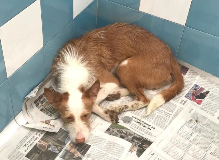 multimedia-foto59110-409-1