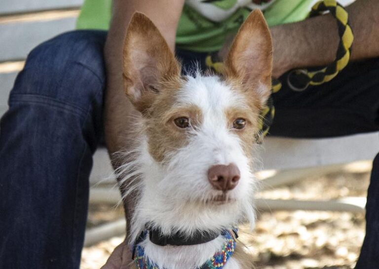 multimedia-foto59112-448-1