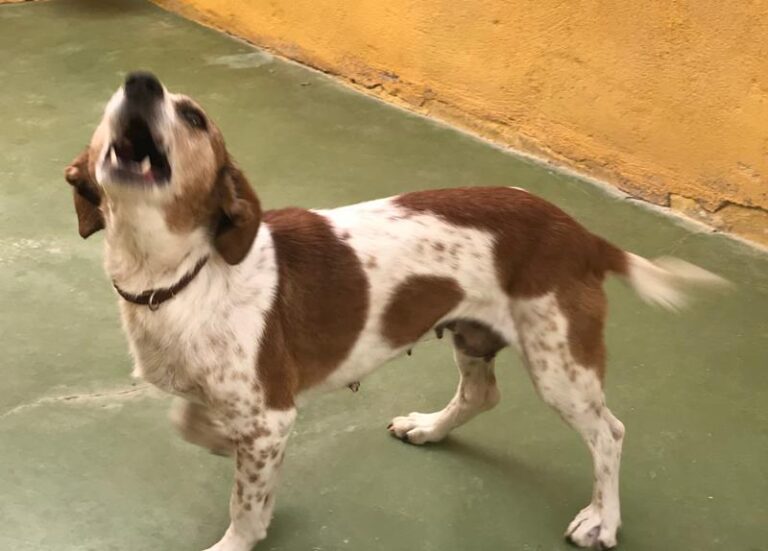 multimedia-foto59114-986-1