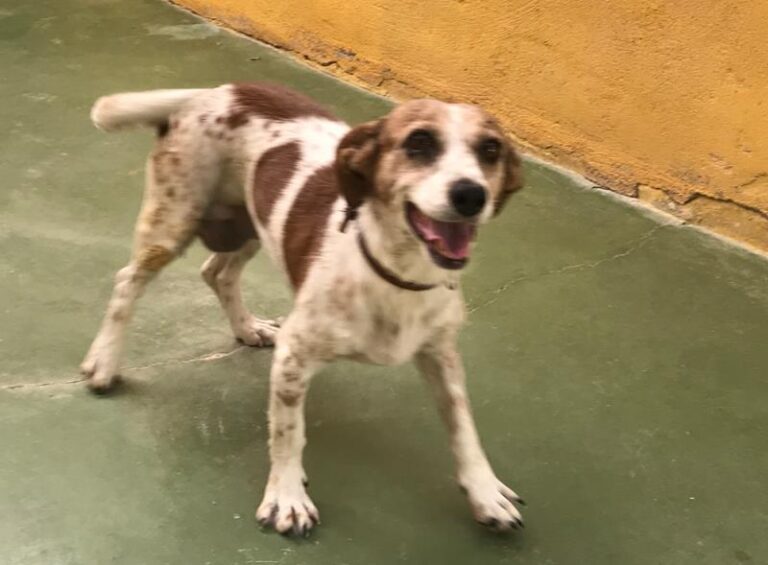 multimedia-foto59115-986-1