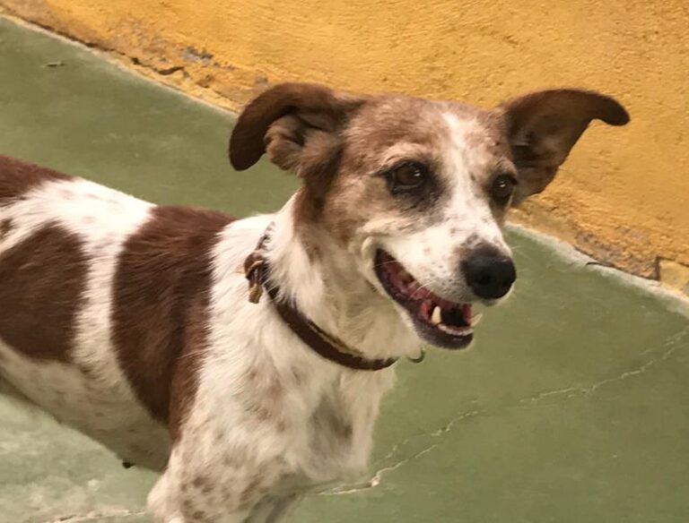 multimedia-foto59116-986-1