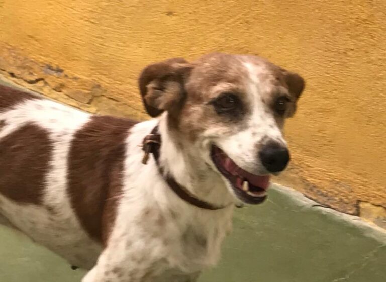 multimedia-foto59117-986-1